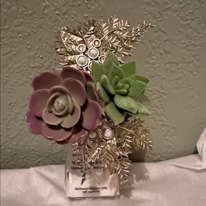 Succulent Wallflowers